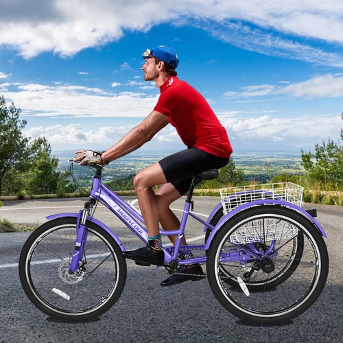 Begonia mountain tricycle - begonia.k,