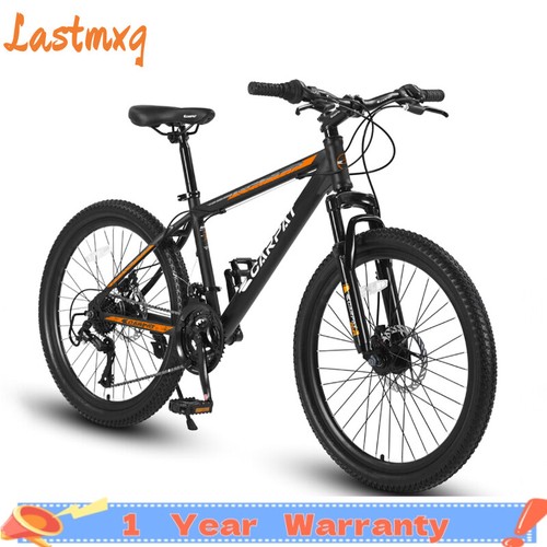 Mountain bike 21 - mountain,